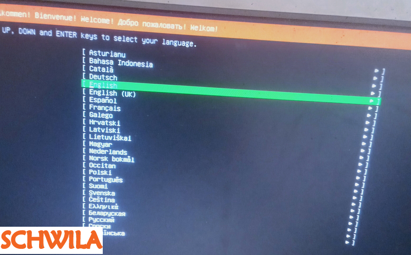 دليل تثبيت Ubuntu Server: اختيار اللغة