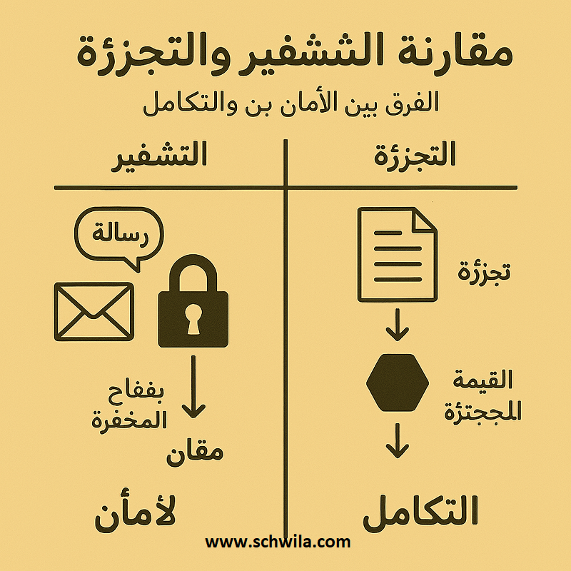 التشفير بالمفتاح العام لحماية البيانات أثناء النقل عبر الشبكات